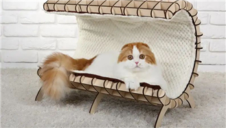 愛寵大作戰，通用激光切割機激光工藝為您解鎖N＋1種貓窩設計